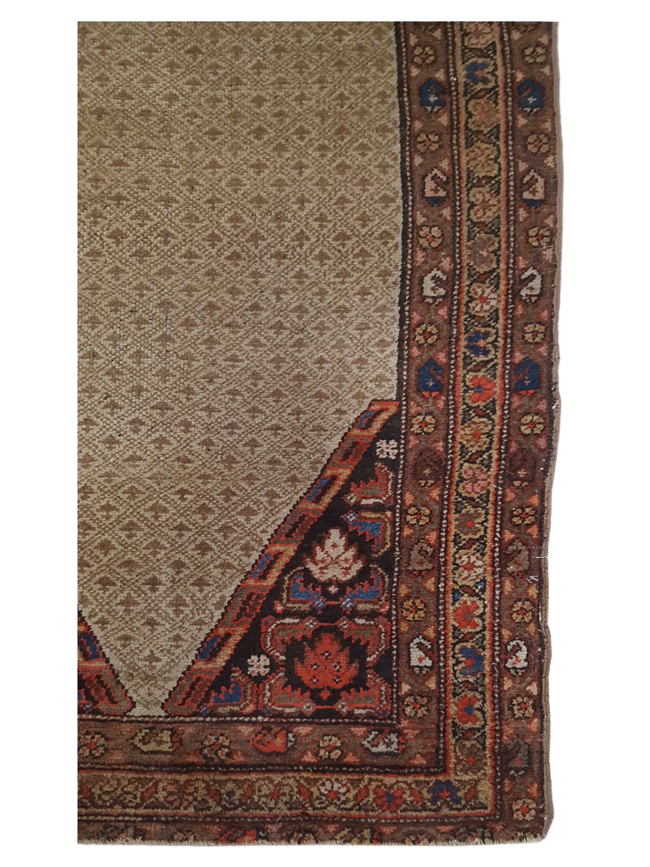 Antique Serab Camel 3x9 - Image 5 of 7